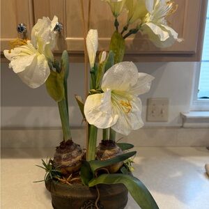 Elegant White Floral Arrangement